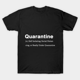 Funny Quarantine definition For men women Boys Gifts T-Shirt